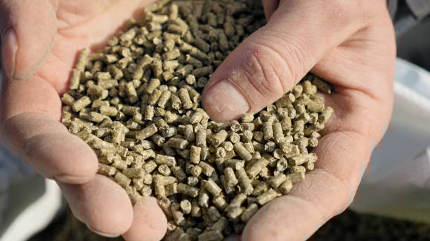 Feed Production