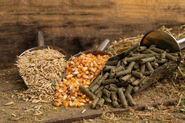 Cattle Feed Pellets